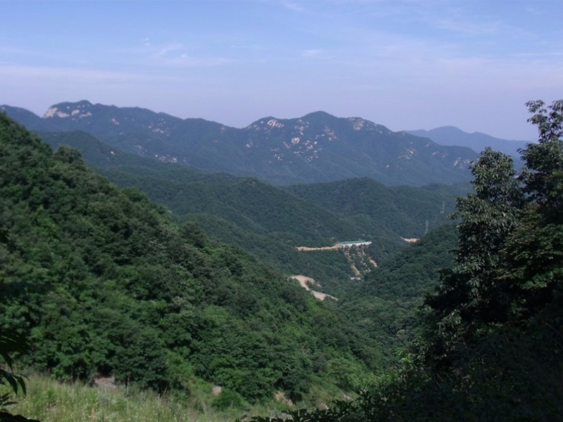 河南洛阳宜阳张午风电场110千伏送出工程对河南洛阳熊耳山升级自然保护区生物多样性影响评价报告
