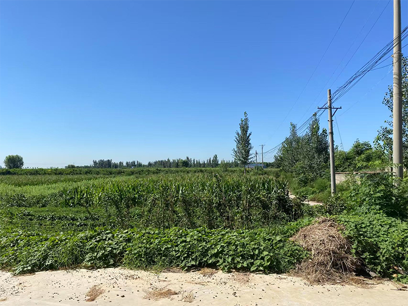 卫辉市漳卫河“21•7”洪水灾后治理良相坡蓄滞洪区建设项目环境影响报告表